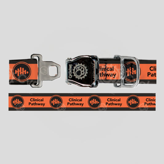 Dog Collar with Bottle Opener